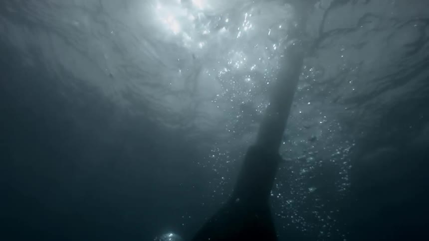 Oar paddles through rippling water