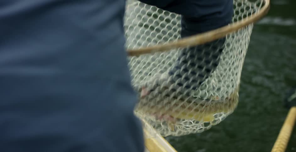 A man removes a fish from a fishing net