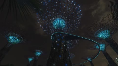 Lights in an amusement park blinking at a rapid pace