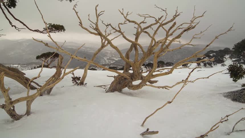 Time lapse video of cold wind blowing across the snow covered landscape