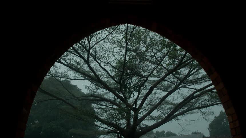 A tree behind an archway