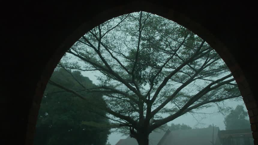 View looking out of a tunnel at a tree on a cloudy day