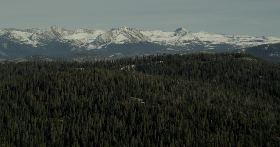 Green forest setting before some snow-covered mountains in Yosemite National Park, California
