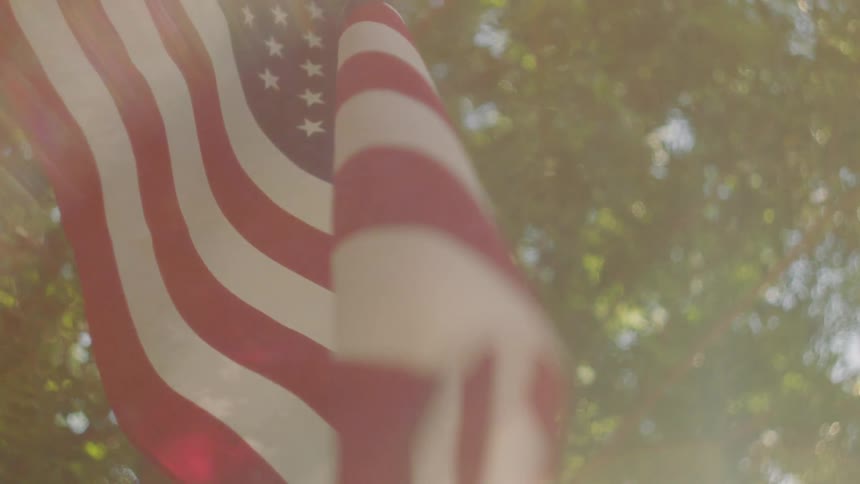 A flag waves near a tree