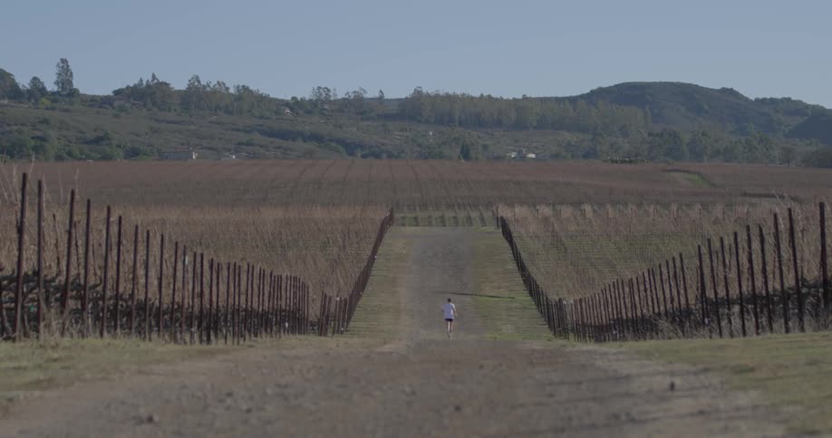 A person jogs on a path in a field