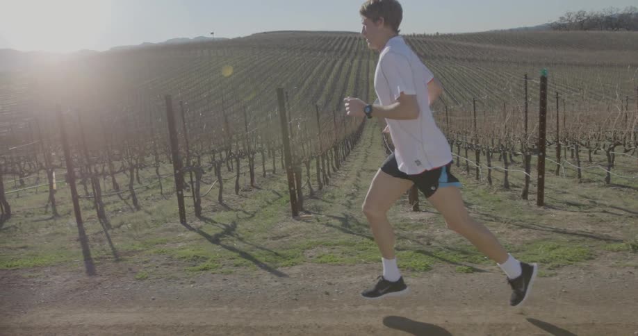 A man jogs past a vineyard on a sunny day