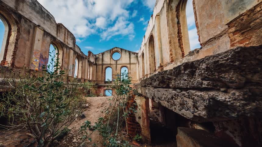 Plants grow in the tattered ruins of a building
