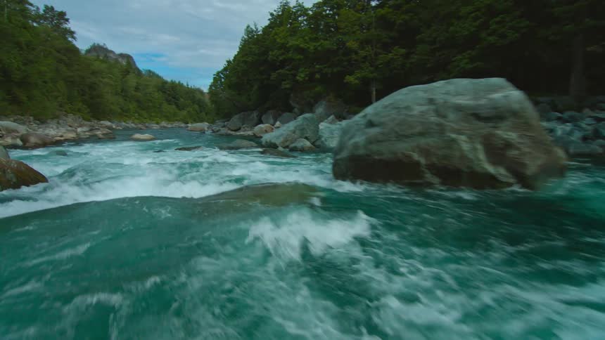 A river tumbling over rocks in a forest