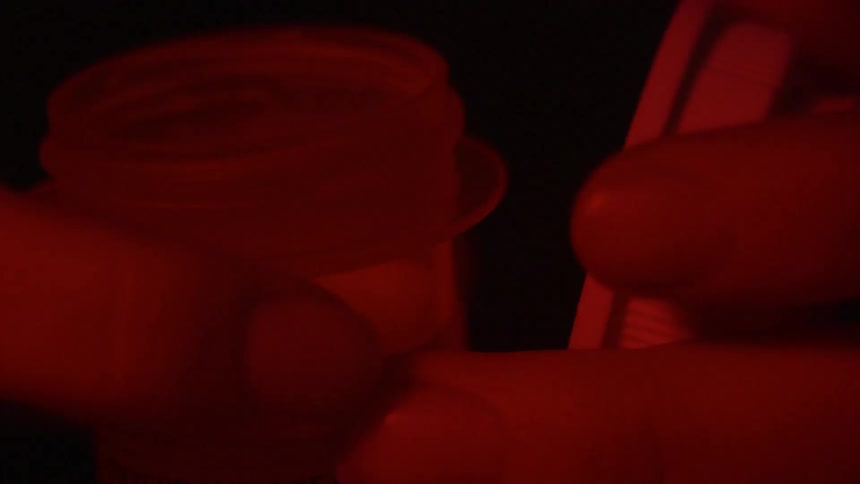 Cap is removed from a medication bottle