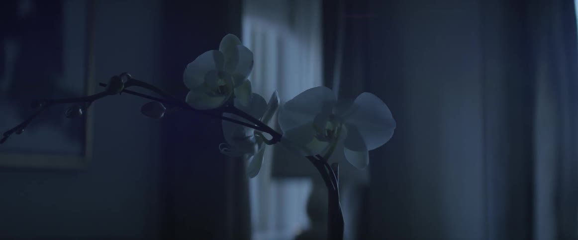 An orchid is sitting in a pot on a table in an empty room