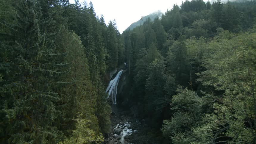 A waterfall in the forest