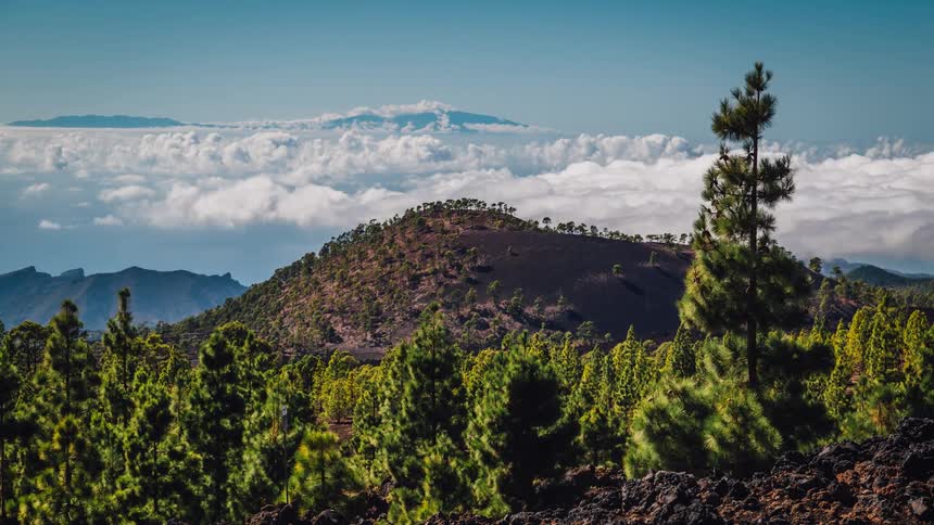 Clouds float over a mountain and trees