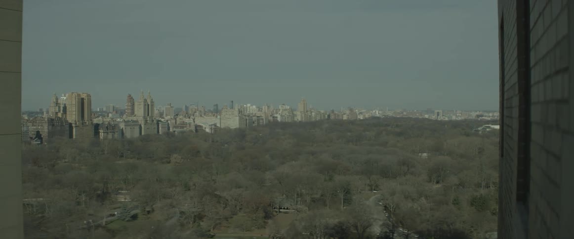 A large park and forest sit before the city