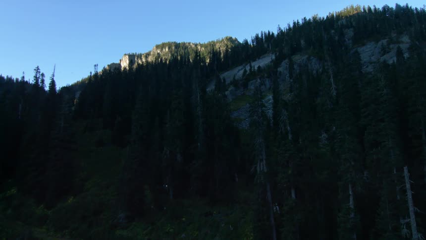 A forest is covering a mountain area