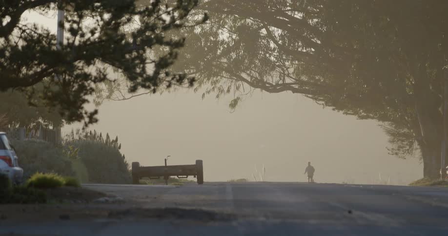 A person jogs down a road in the fog