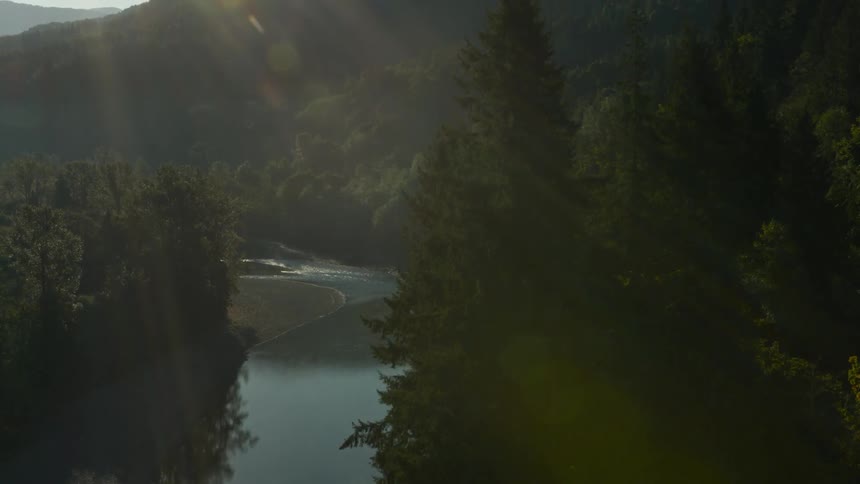The sun shines on a forest and river