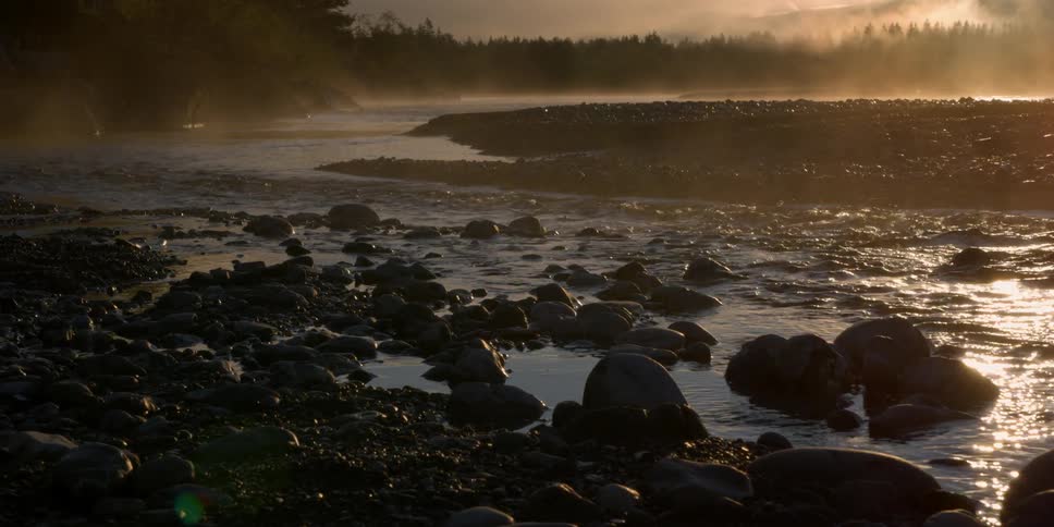 A stream is being filmed from shore