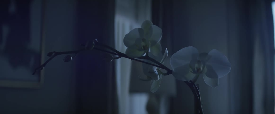White flowers on a branch sit in a room