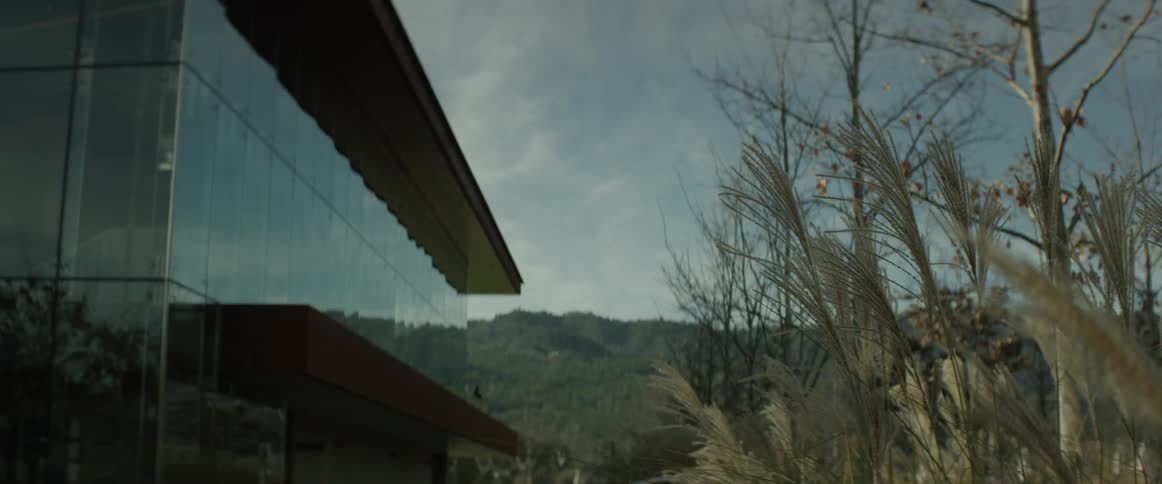 A square glass building near leafless trees