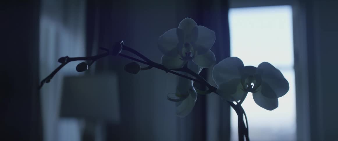 An orchid is sitting in a pot on a table in an empty room
