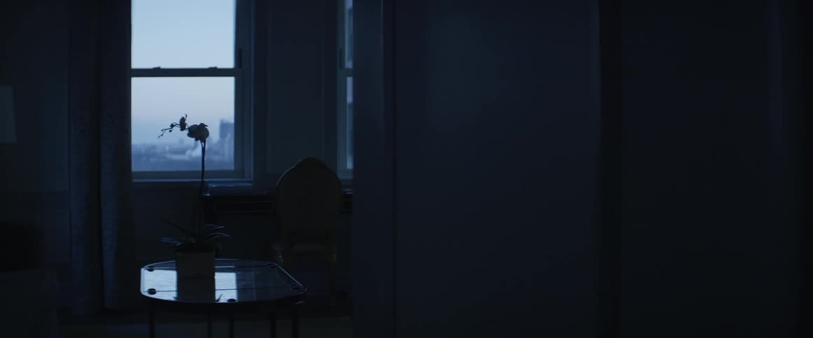 An orchid is sitting in a pot on a table in an empty room