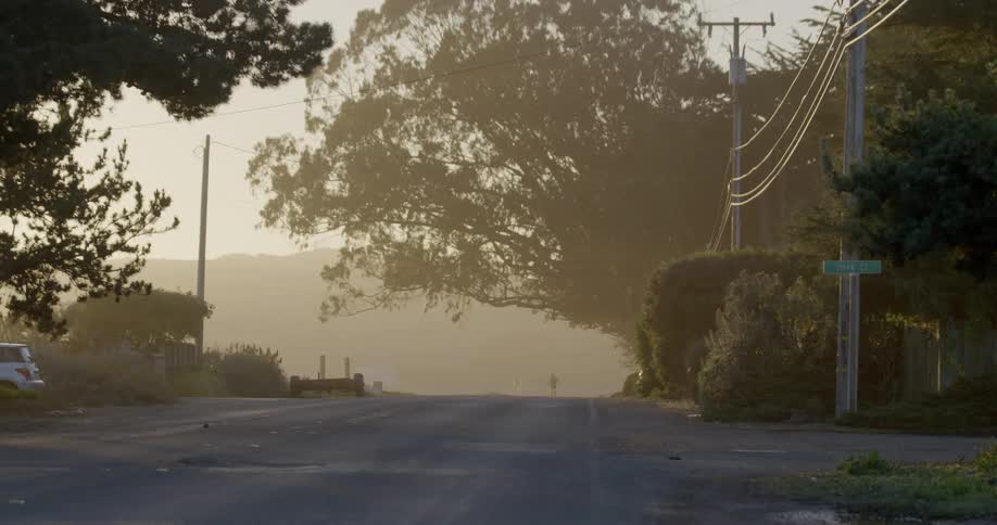 Man jogging down a foggy road