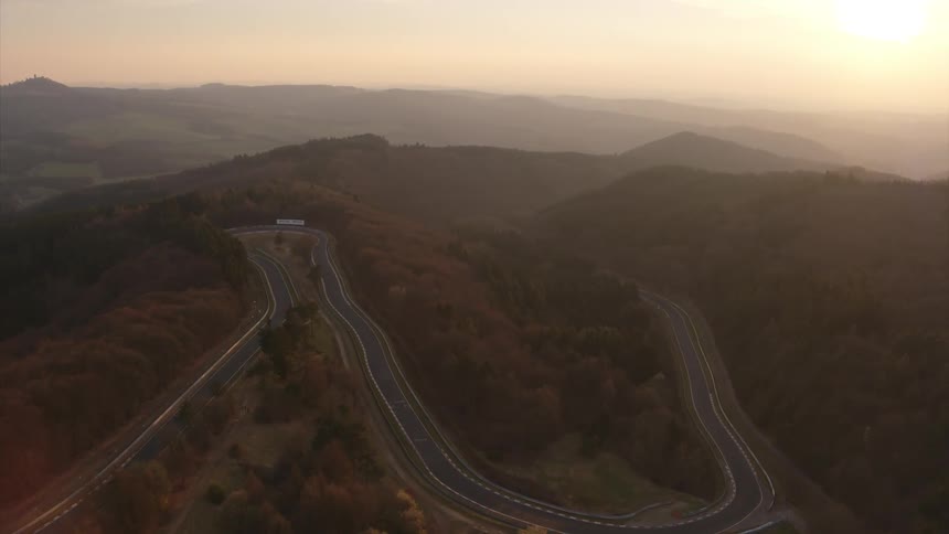 Circular roadway travels around the trees
