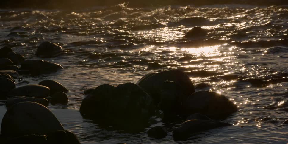 Water ripples near clusters of rocks