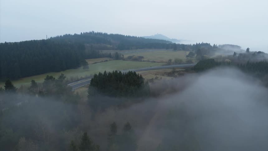 Mist hangs above trees next to a road