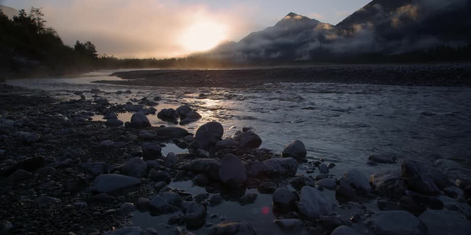 A babbling stream is filmed from the shore
