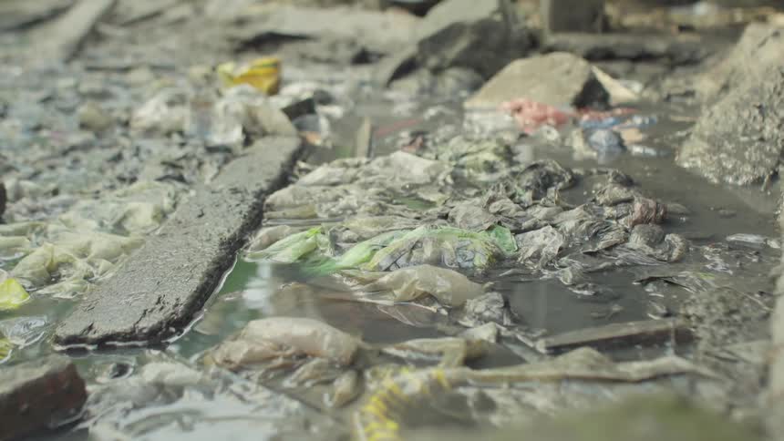 Water filled with wet trash
