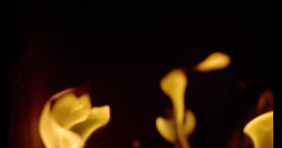Close up of a fire