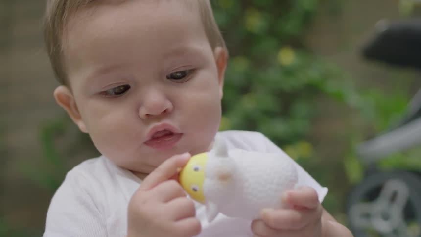Baby plays with a toy animal