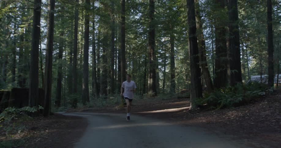 A person is jogging in the woods