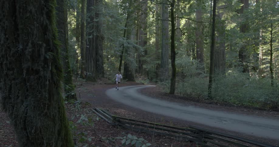 A man jogs down a path in a forest