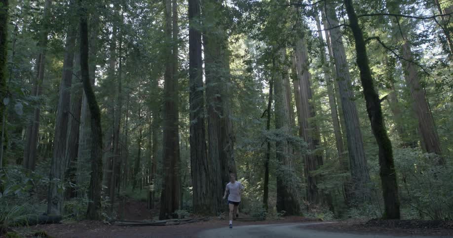 A person jogs on a path in the woods