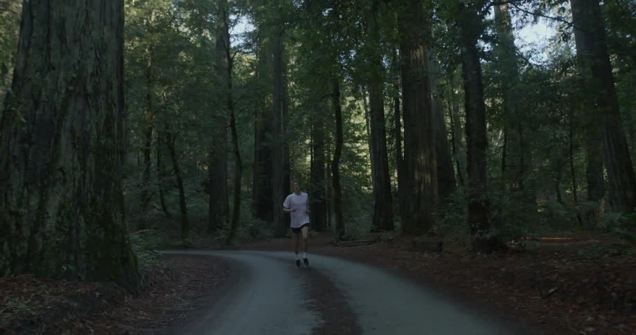 Man jogging on a narrow path in the woods