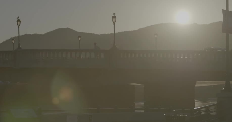 A person jogs over a bridge in the daytime