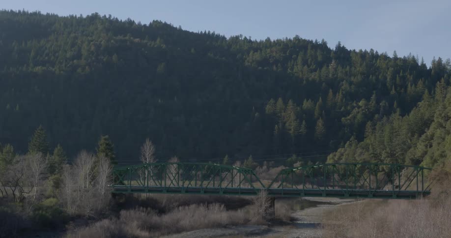 A bridge stands in the wilderness