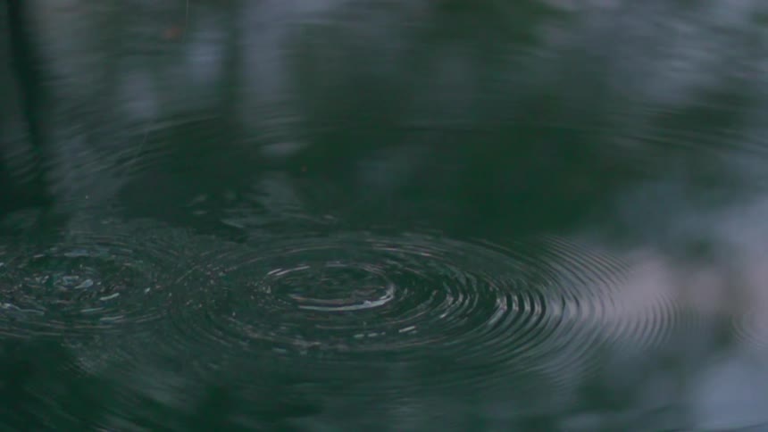 A fishing line is cast into the water