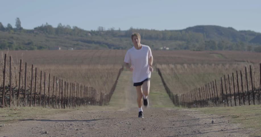 A man is jogging in a farmland