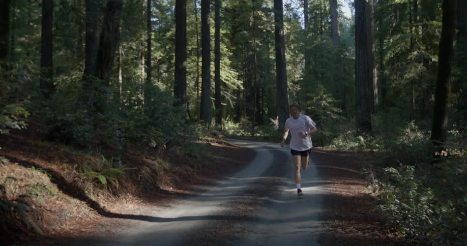 A person jogs along a narrow path in the forest