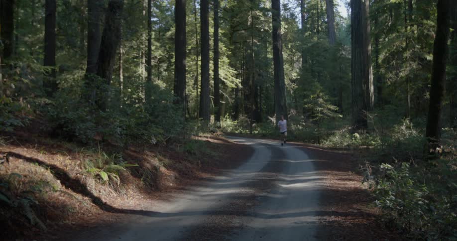 A man jogs down a single lane road in a forest of redwood trees