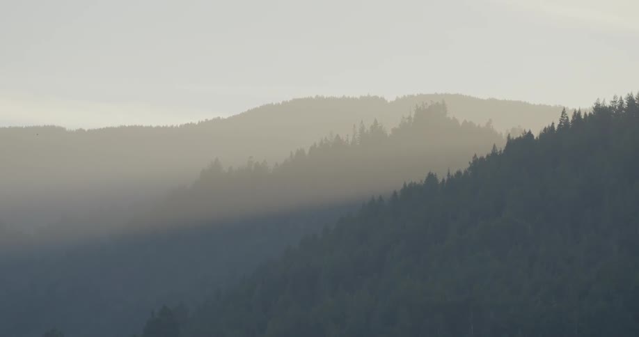 The mist lays along the tree covered mountains and valleys