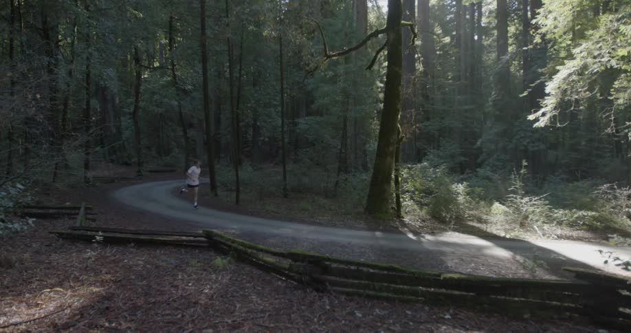 A man jogs down a path in a forest