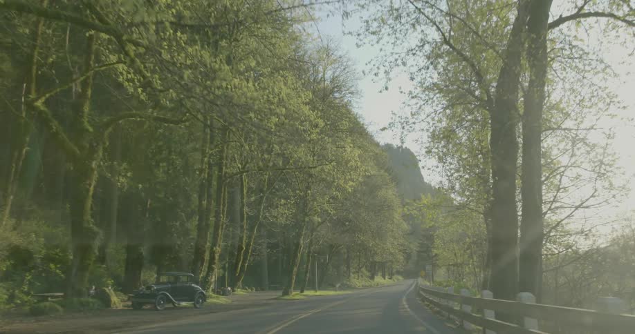 A tree lined road on a sunny day