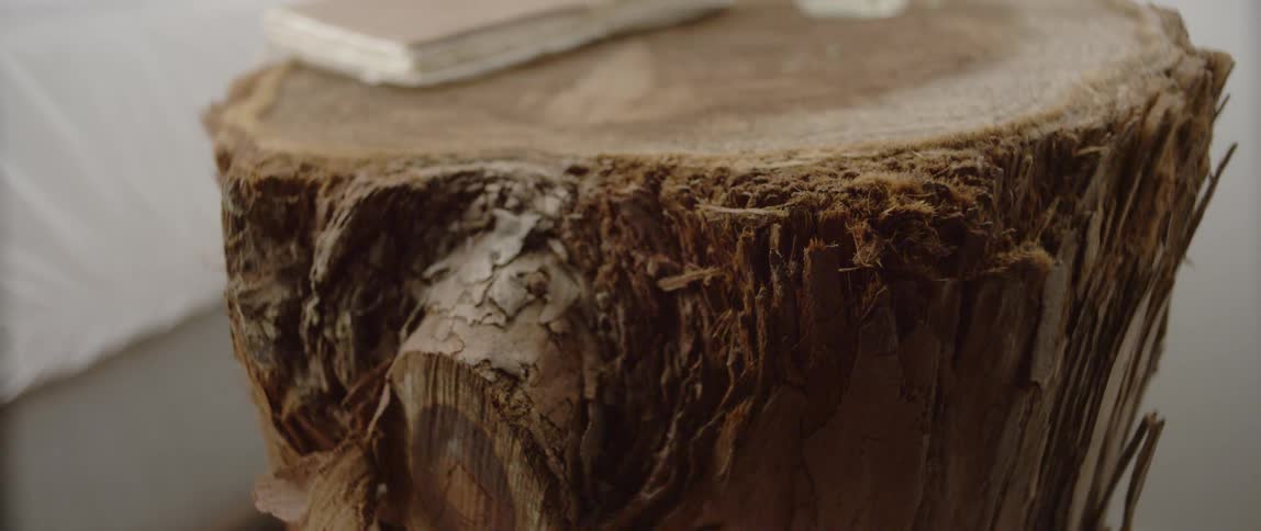 A book sits on the top of a tree stump