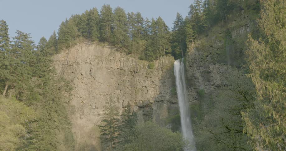 A waterfall emerging from a tree-lined cliff