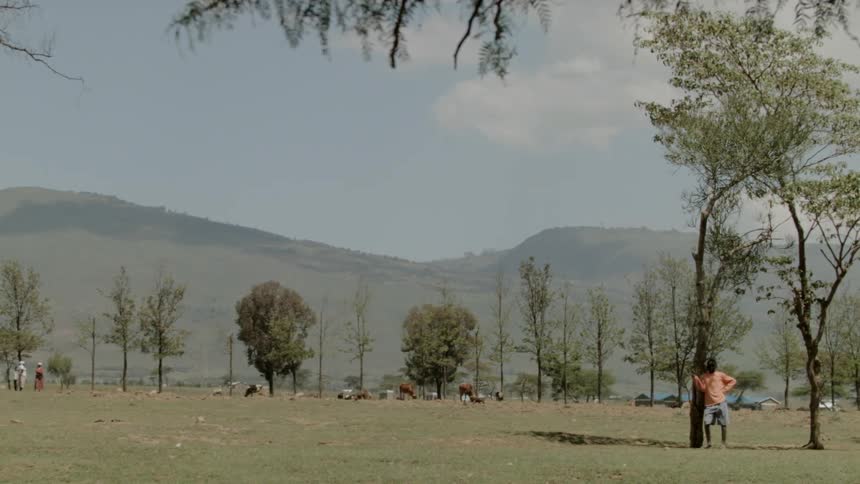 Man stands against a tree on a large field