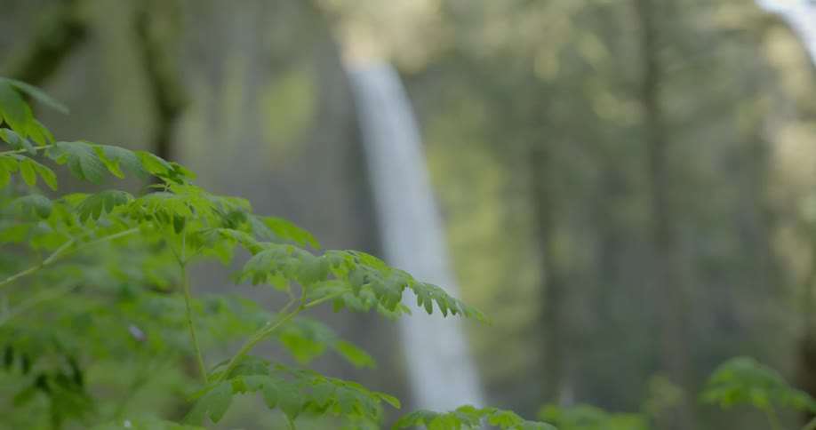 A narrow waterfall rushes from high above a cliff in a canyon